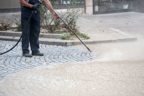 Best Roof Cleaning and Mildew Removal in Mosinee, WI