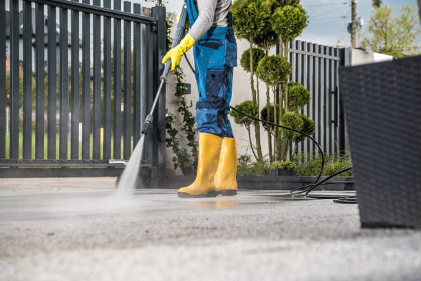 Best Driveway Cleaning and Restoration in Mosinee, WI